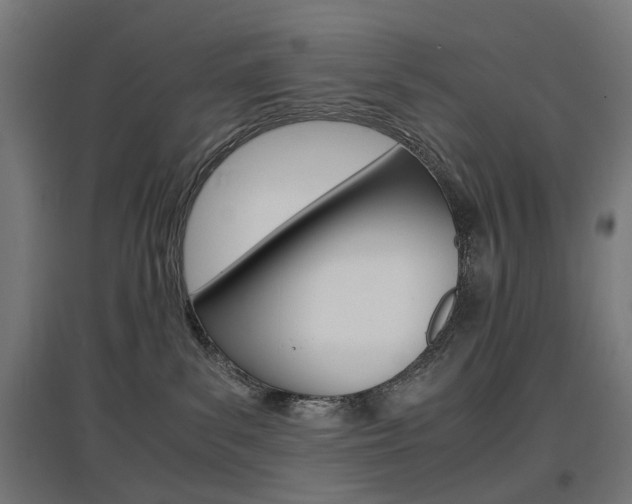 X0000097620139200802290829
