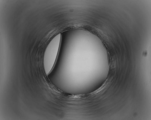 X0000097620140200802290829