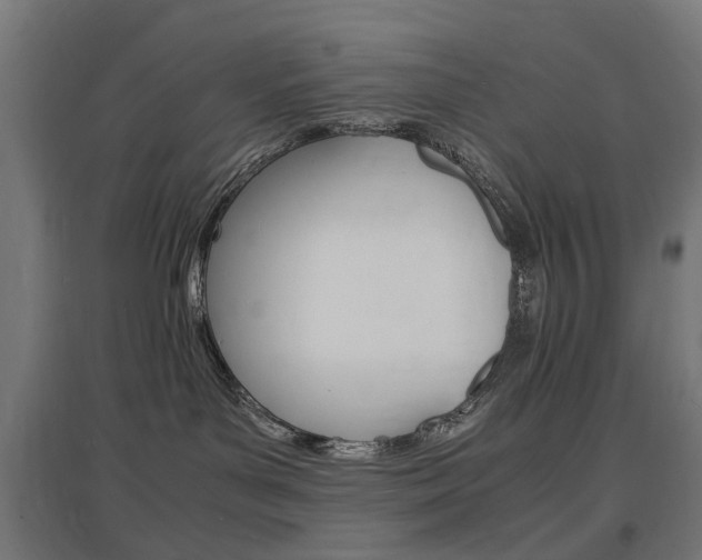 X0000097620143200802290829