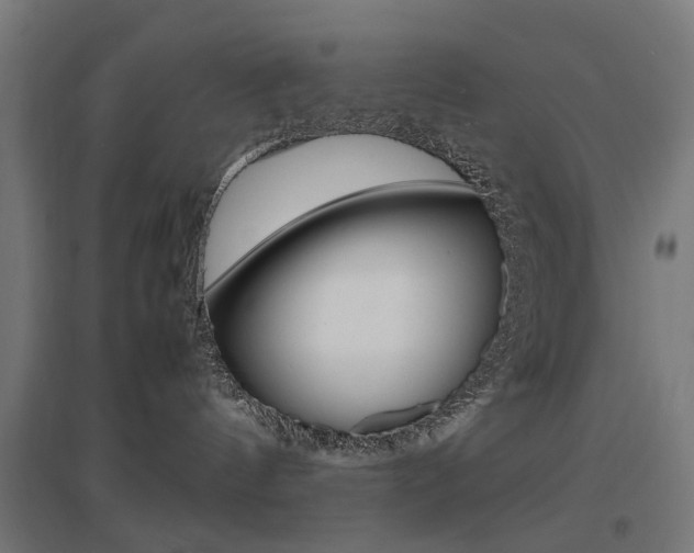 X0000097620144200802290829