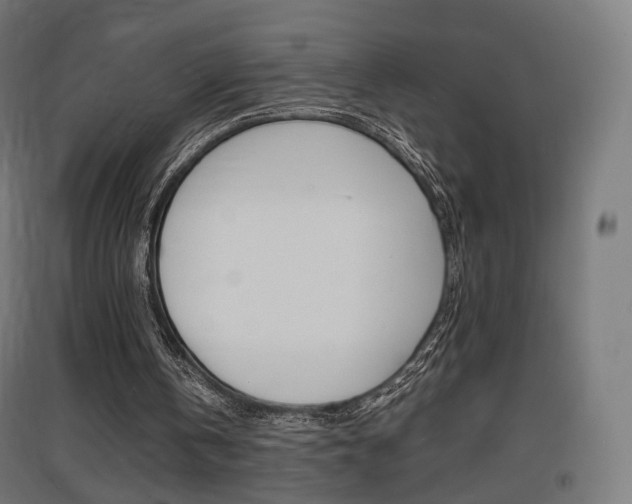 X0000097620146200802290828