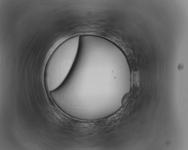X0000097620147200802290828