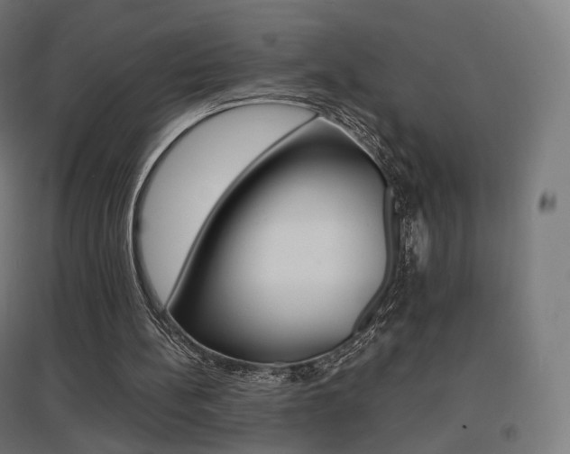 X0000097620148200802290828