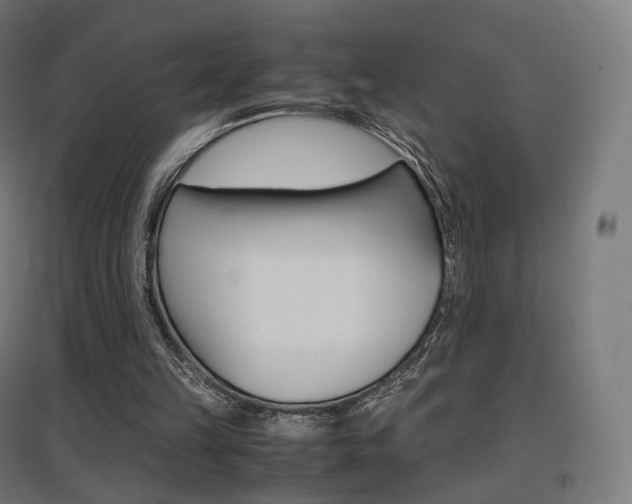 X0000097620149200802290828