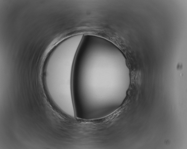 X0000097620150200802290828