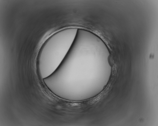 X0000097620151200802290828