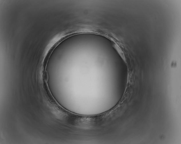 X0000097620152200802290828