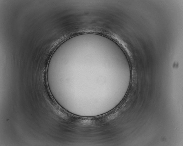 X0000097620153200802290828