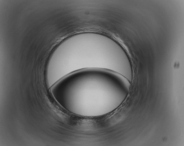 X0000097620154200802290828