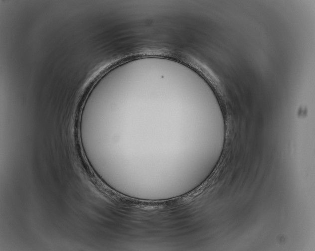 X0000097620155200802290828