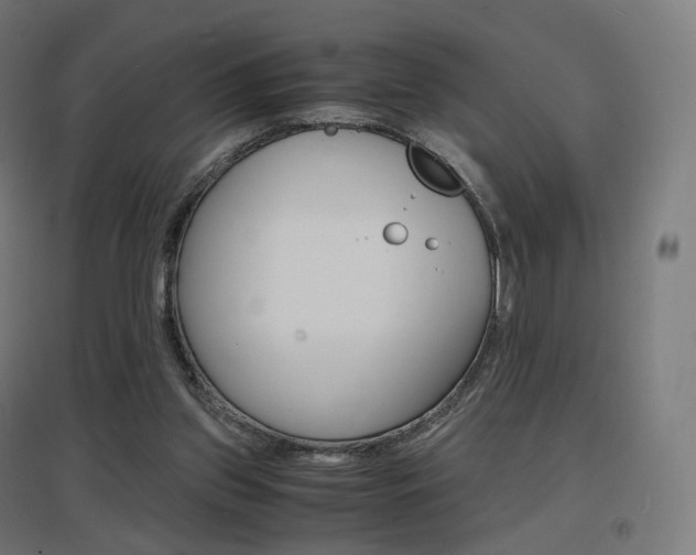 X0000097620157200802290828