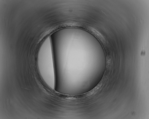X0000097620158200802290828