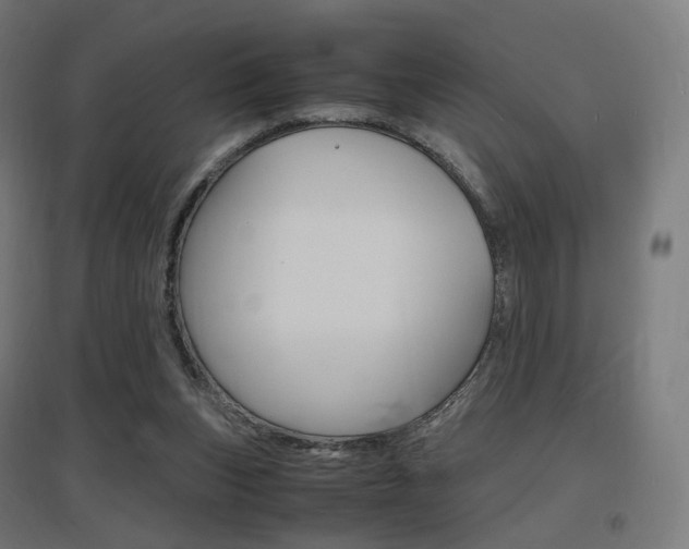 X0000097620159200802290828