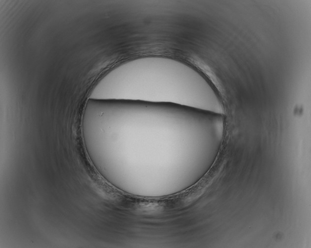 X0000097620161200802290828