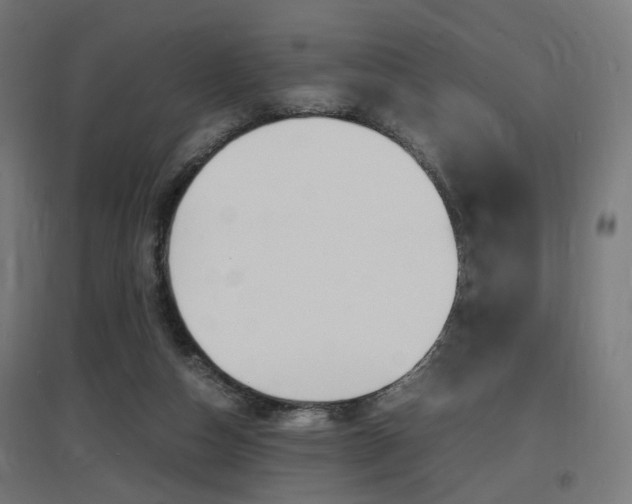 X0000097620162200802290828