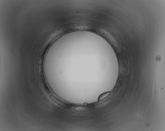 X0000097620163200802290828