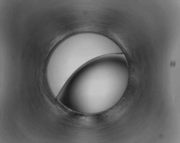 X0000097620164200802290828
