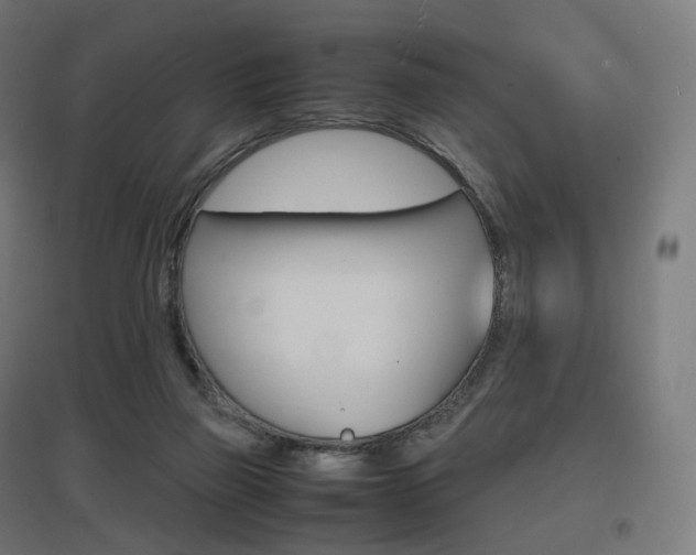 X0000097620165200802290828