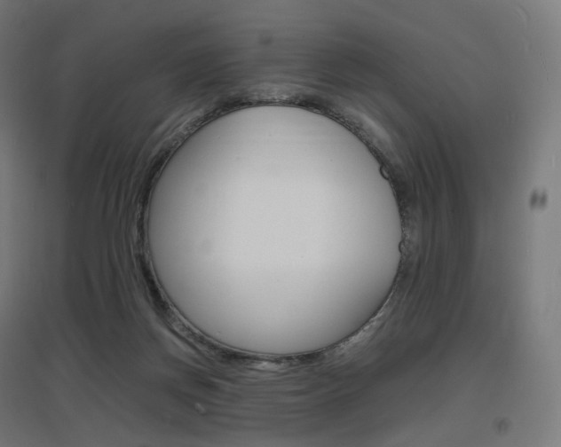 X0000097620166200802290828