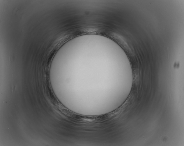 X0000097620167200802290828