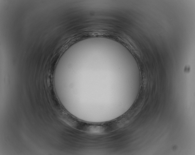 X0000097620169200802290828