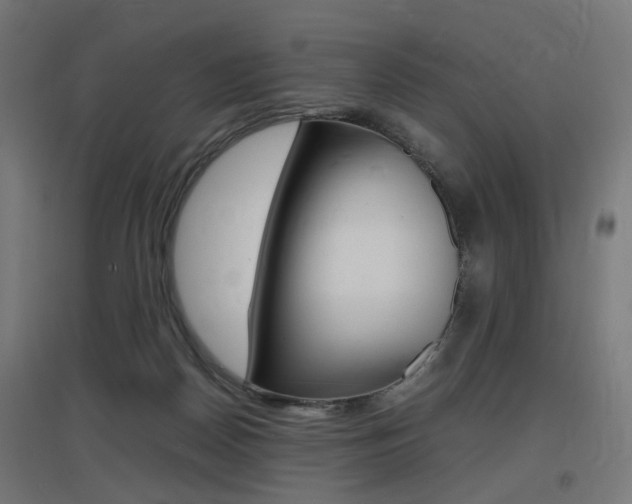 X0000097620170200802290828