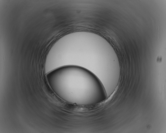 X0000097620174200802290828