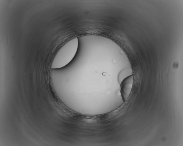 X0000097620175200802290828