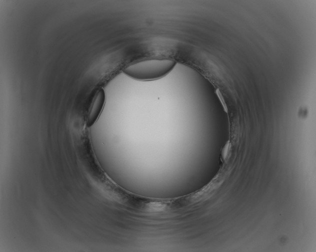 X0000097620176200802290828