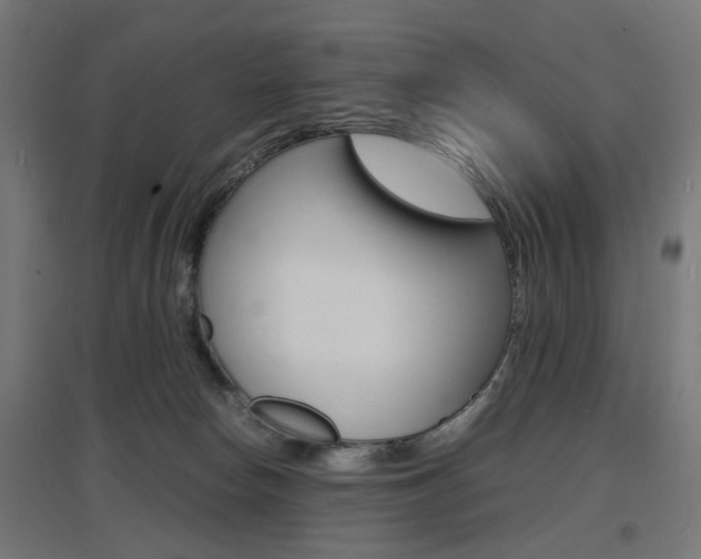 X0000097620178200802290828