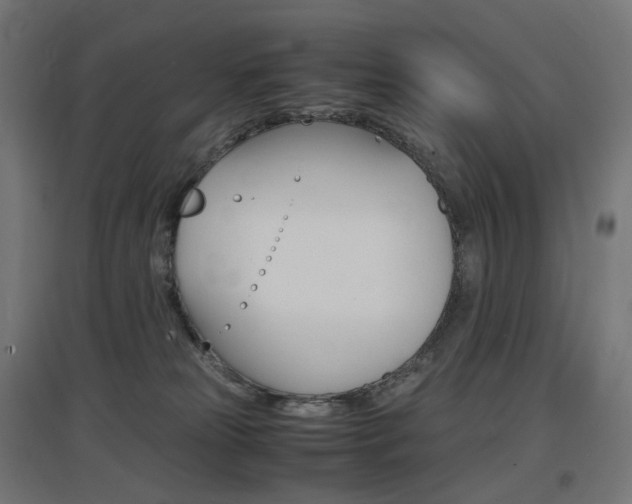 X0000097620181200802290828