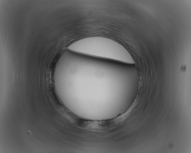 X0000097620182200802290828