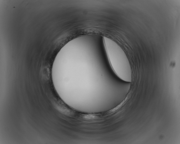X0000097620183200802290828