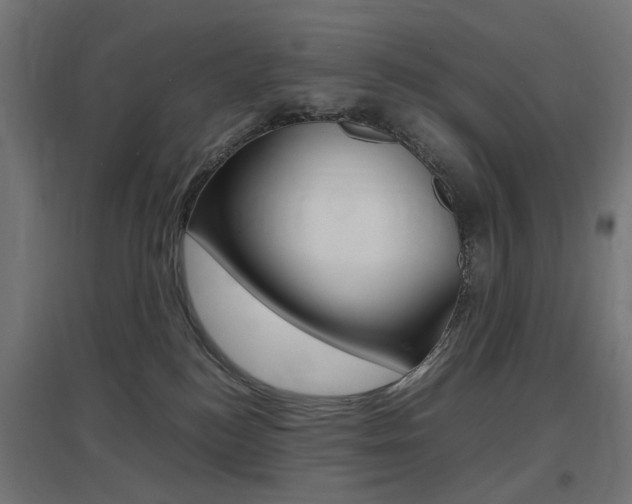 X0000097620184200802290828