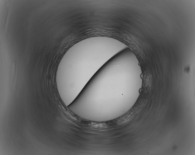 X0000097620185200802290828