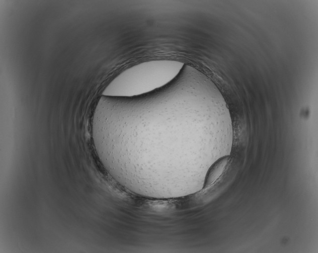 X0000097620187200802290828