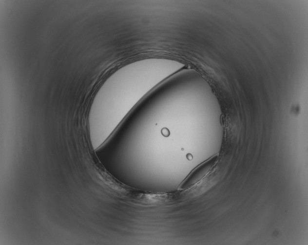 X0000097620188200802290828