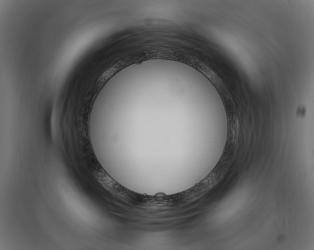 X0000097620189200802290829