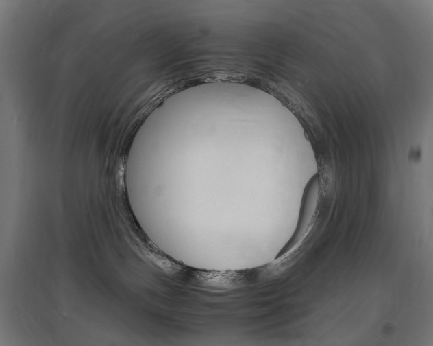 X0000097620191200802290829