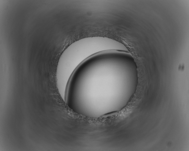X0000097620192200802290829