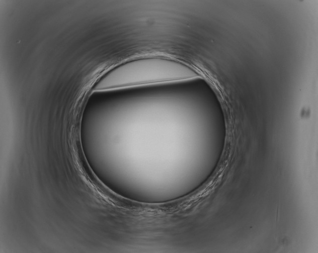 X0000097620193200802290828