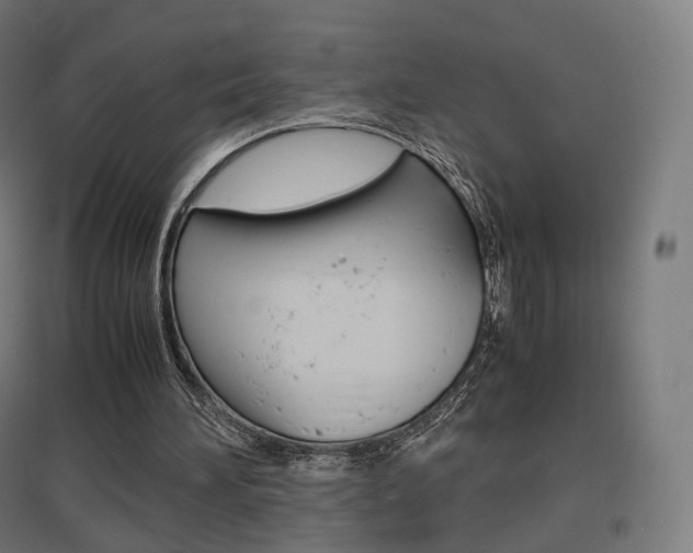 X0000097620196200802290828