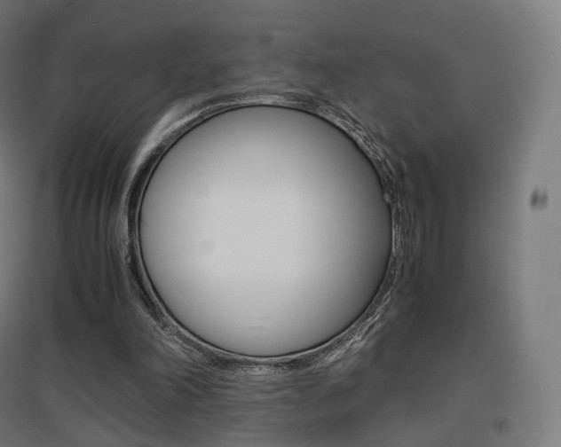 X0000097620198200802290828