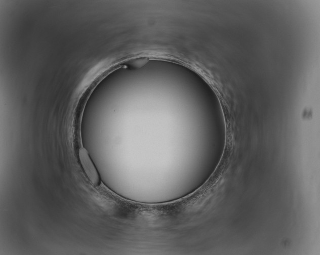 X0000097620199200802290828