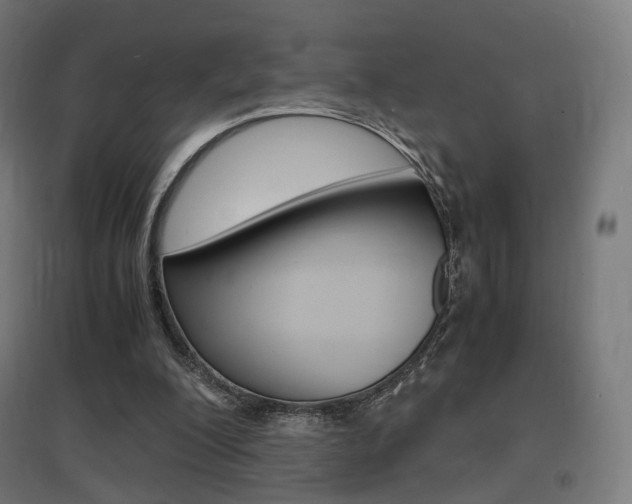 X0000097620200200802290828