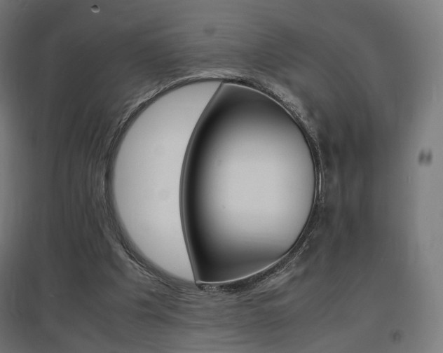 X0000097620201200802290828