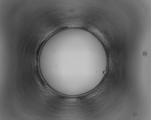 X0000097620202200802290828