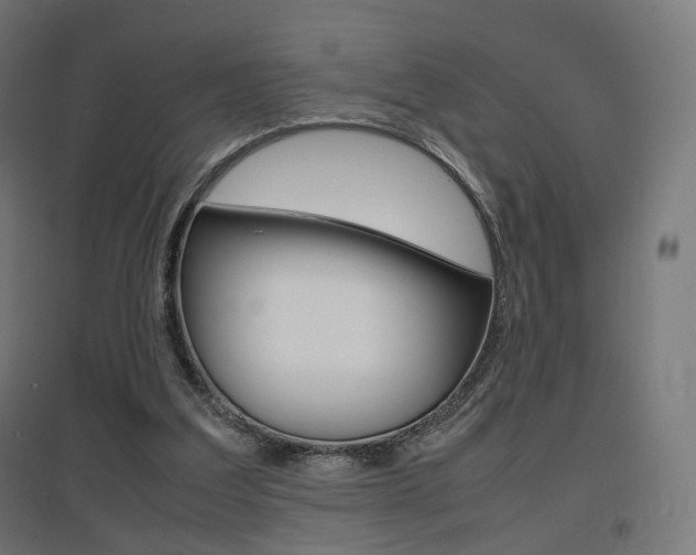 X0000097620203200802290828