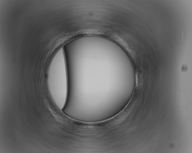 X0000097620205200802290828