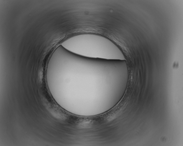 X0000097620206200802290828